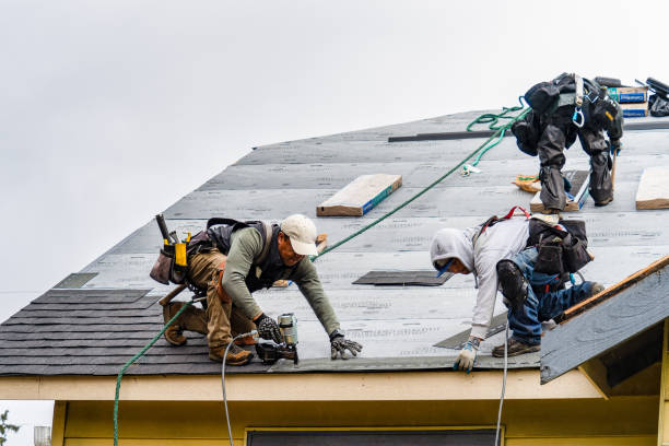 Professional Roofing technician working in Nuevo, CA